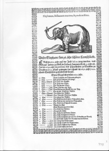 Elephant Hansken German Broadsheet 1651